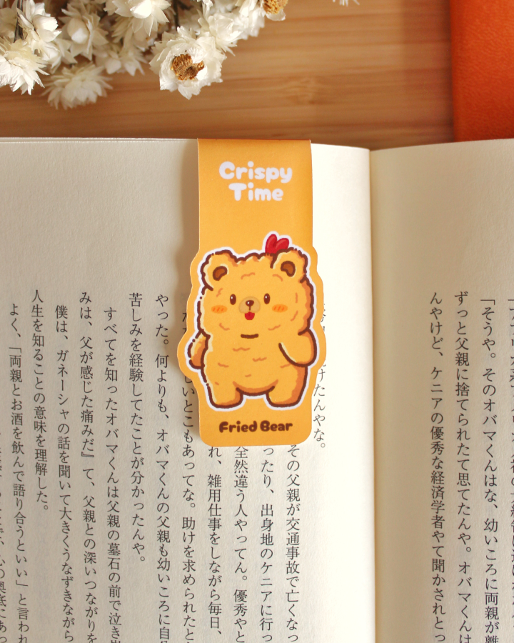 Magnetic Bookmarks